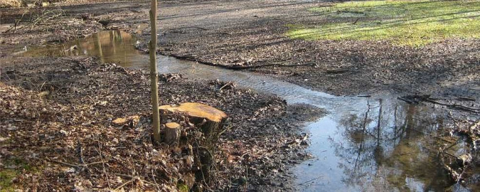 2_Schoenfelder_Bach_1024.jpg Schlammräumung Schönfelder Bach 