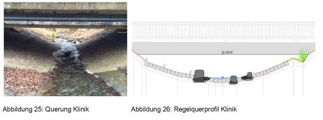 Abschnitt 8.jpg