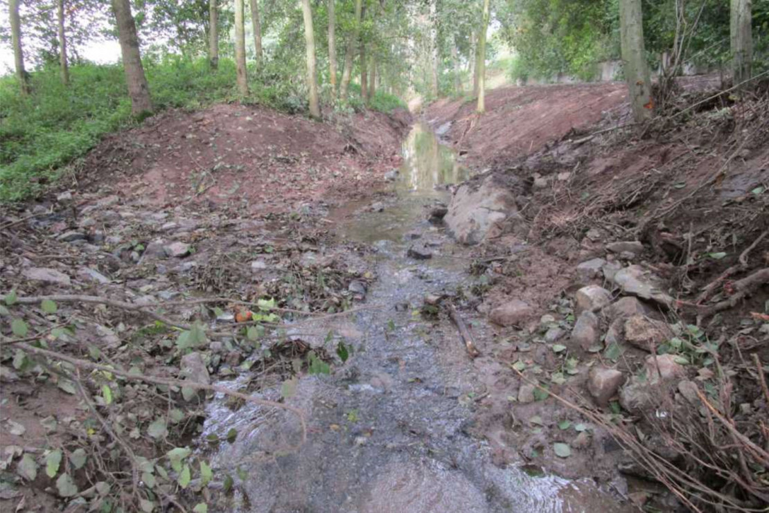 Abschnitt nach Entfernung der Sohl- und Uferbefestigung