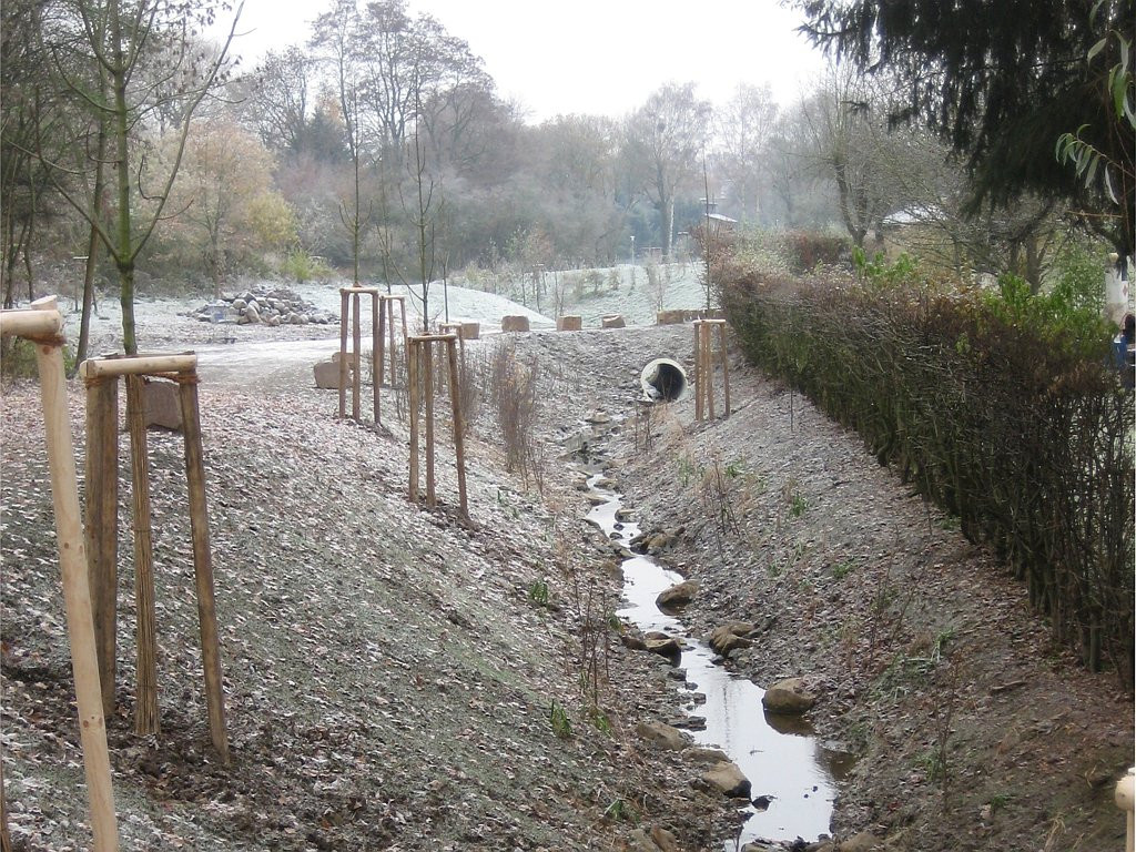 Aktuelles_Eselsgraben_Renaturierung_2_BA_Bild_4.jpg