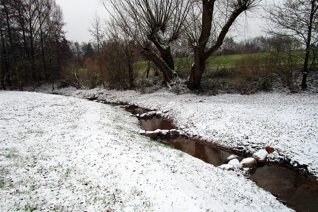 Geilebach_Renaturierung_2015_Bild_02_1024.jpg