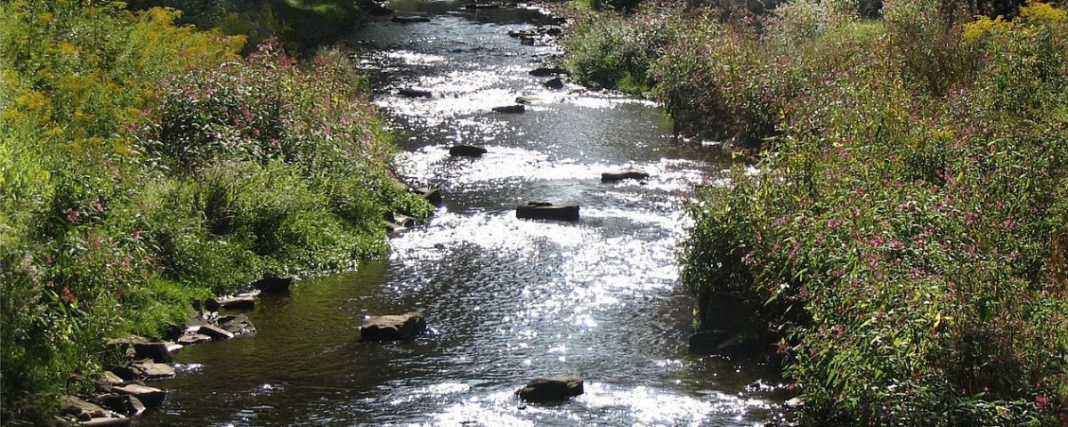 Zur Unterseite Naturnahe Gestaltung von Gewässern