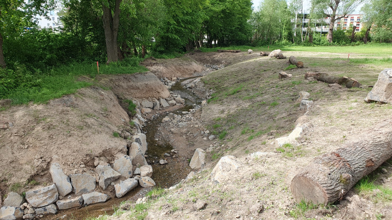 Naturnahe Umgestaltung des Schönfelder Baches