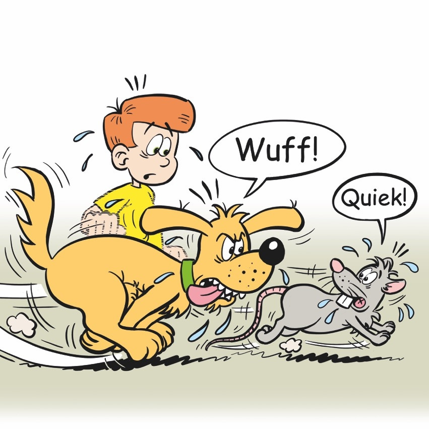 Pixie Bild 03.jpg