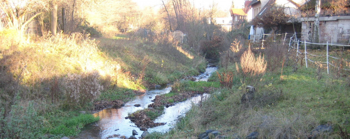 T6-Drusel_010.JPG